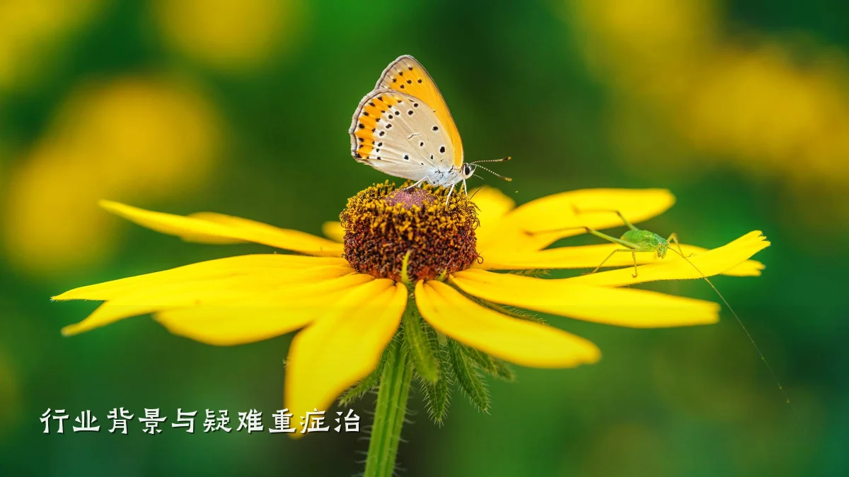 行业背景与疑难重症治