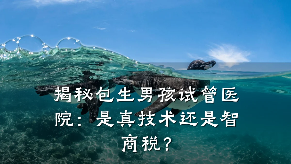 揭秘包生男孩试管医院:是真技术还是智商税?