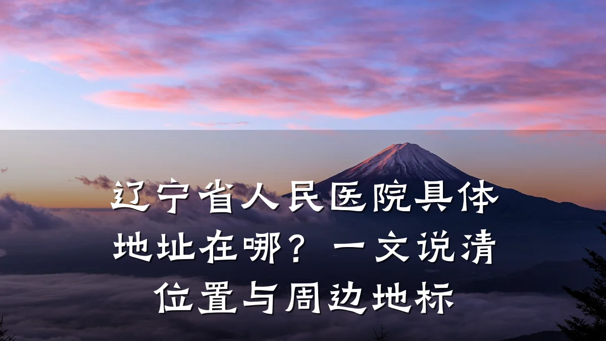 辽宁省人民医院具体地址在哪?一文说清位置与周边地标