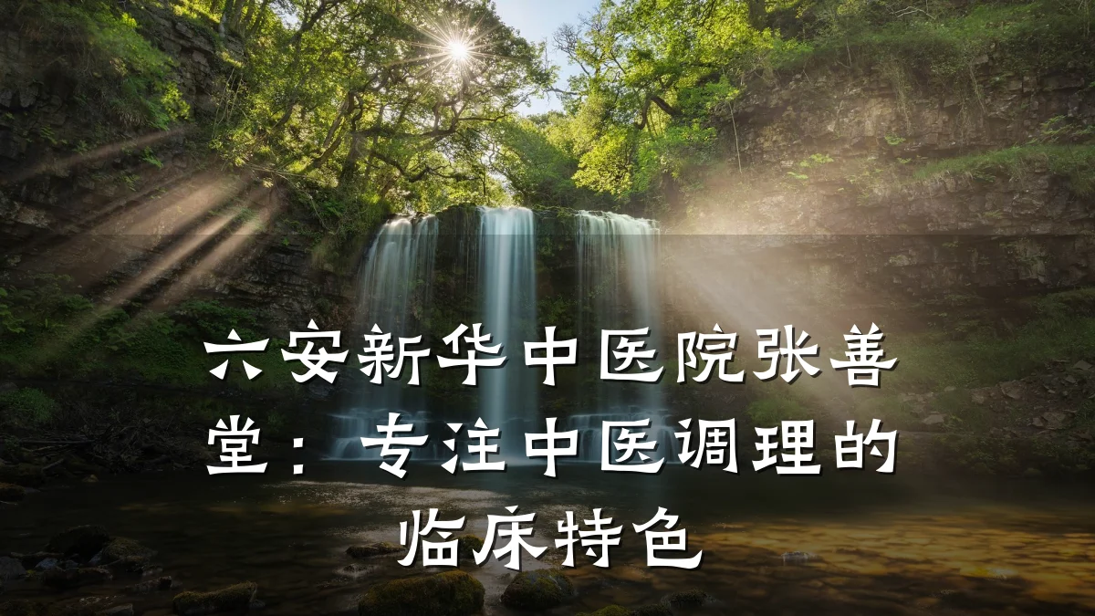 六安新华中医院张善堂：专注中医调理的临床特色