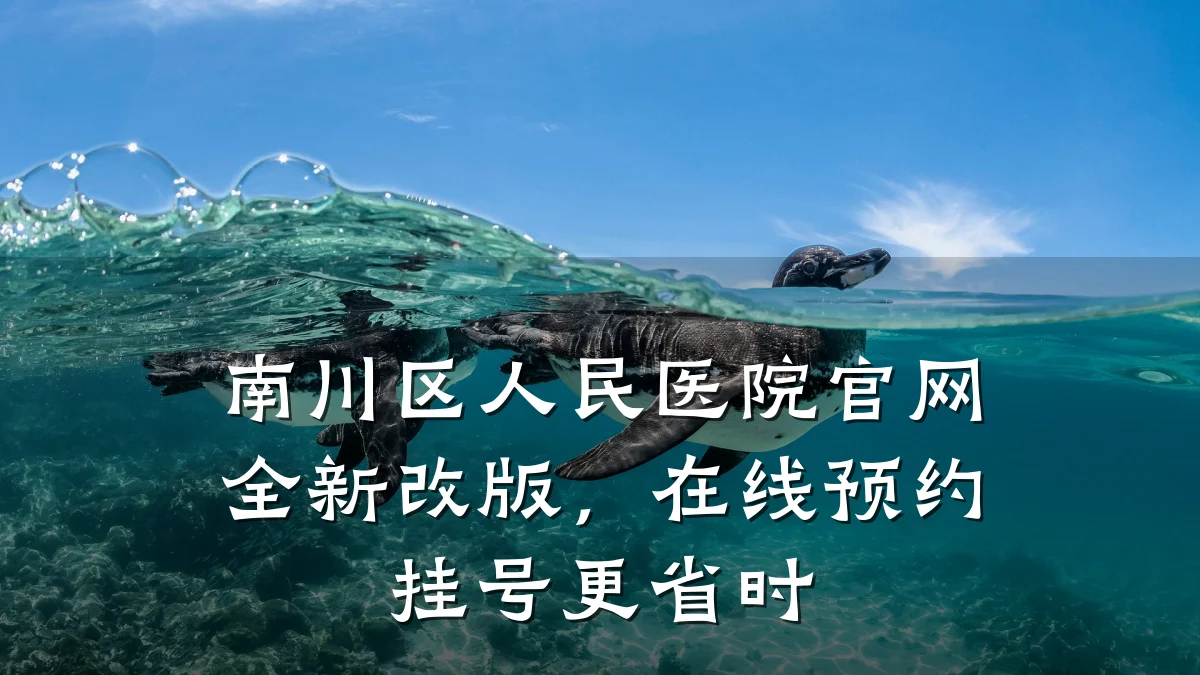 南川区人民医院官网全新改版,在线预约挂号更省时