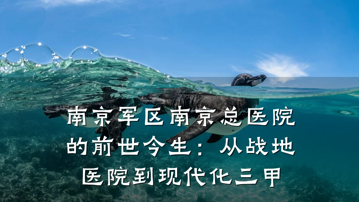 南京军区南京总医院的前世今生:从战地医院到现代化三甲