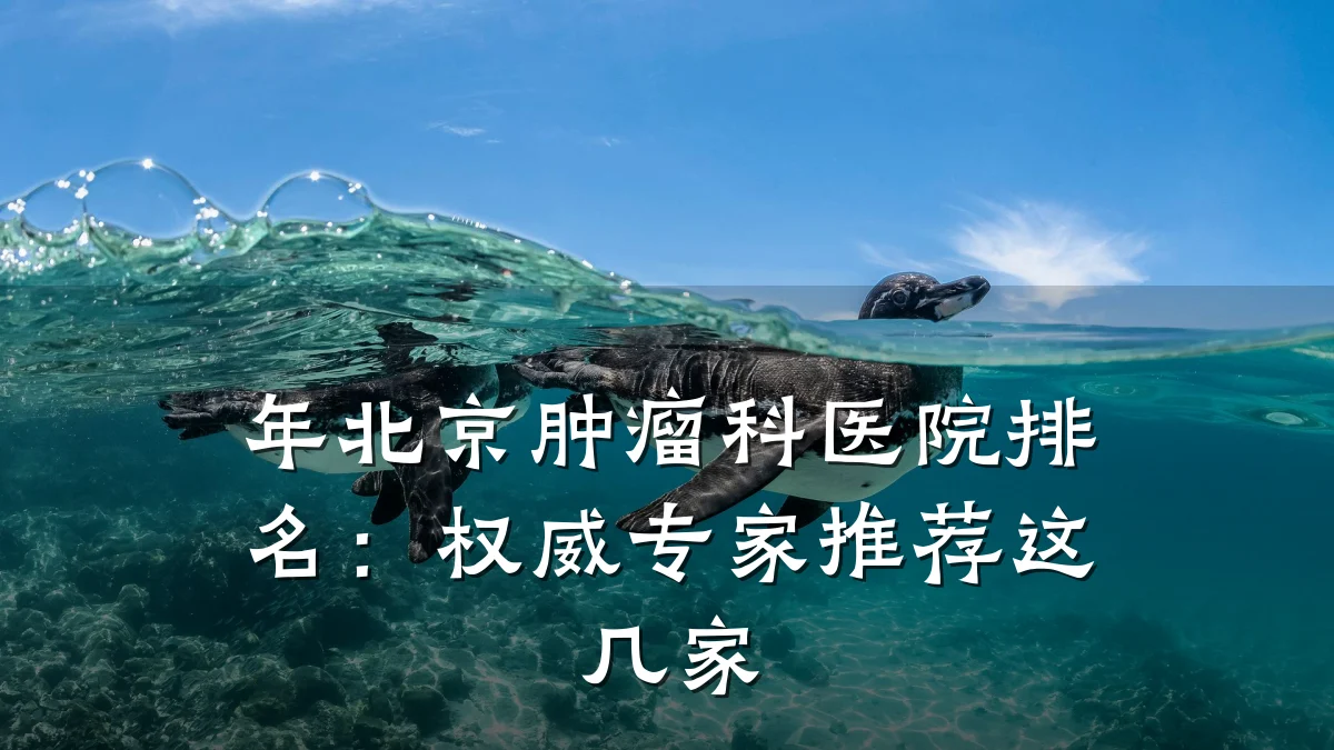 年北京肿瘤科医院排名:权威专家推荐这几家