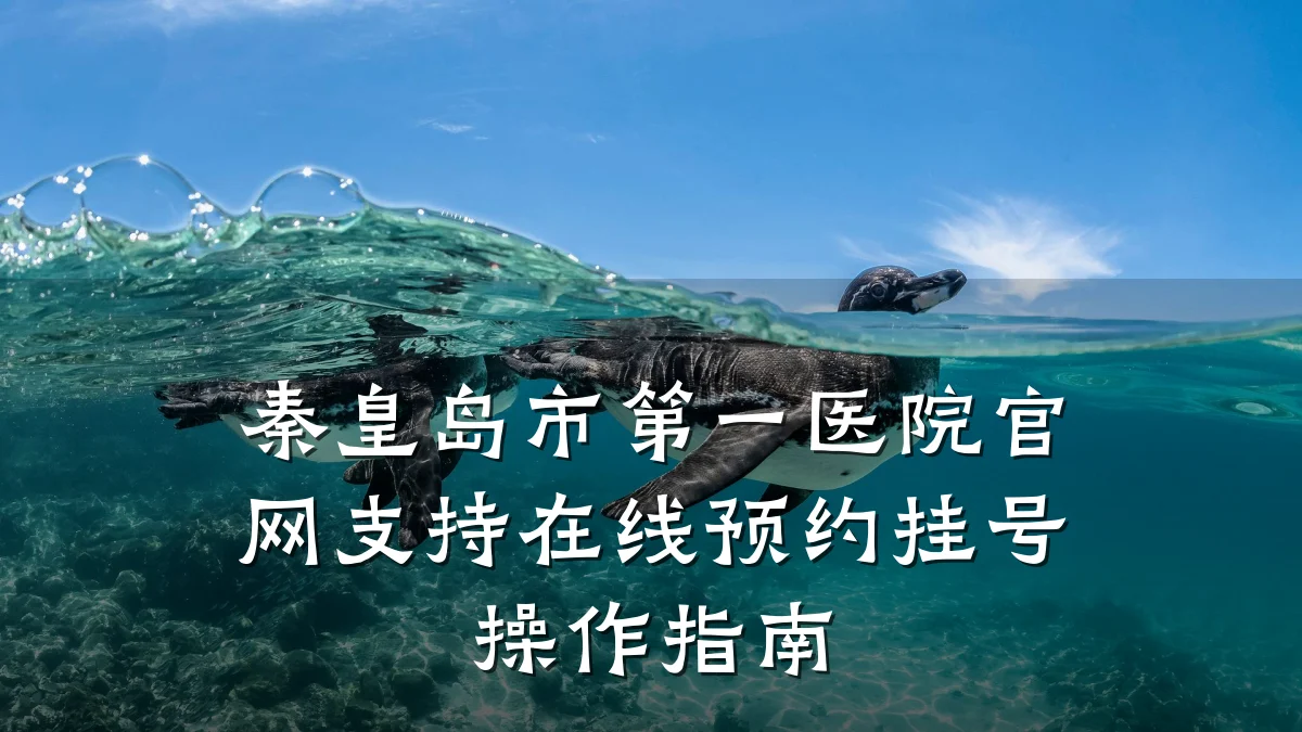 秦皇岛市第一医院官网支持在线预约挂号操作指南