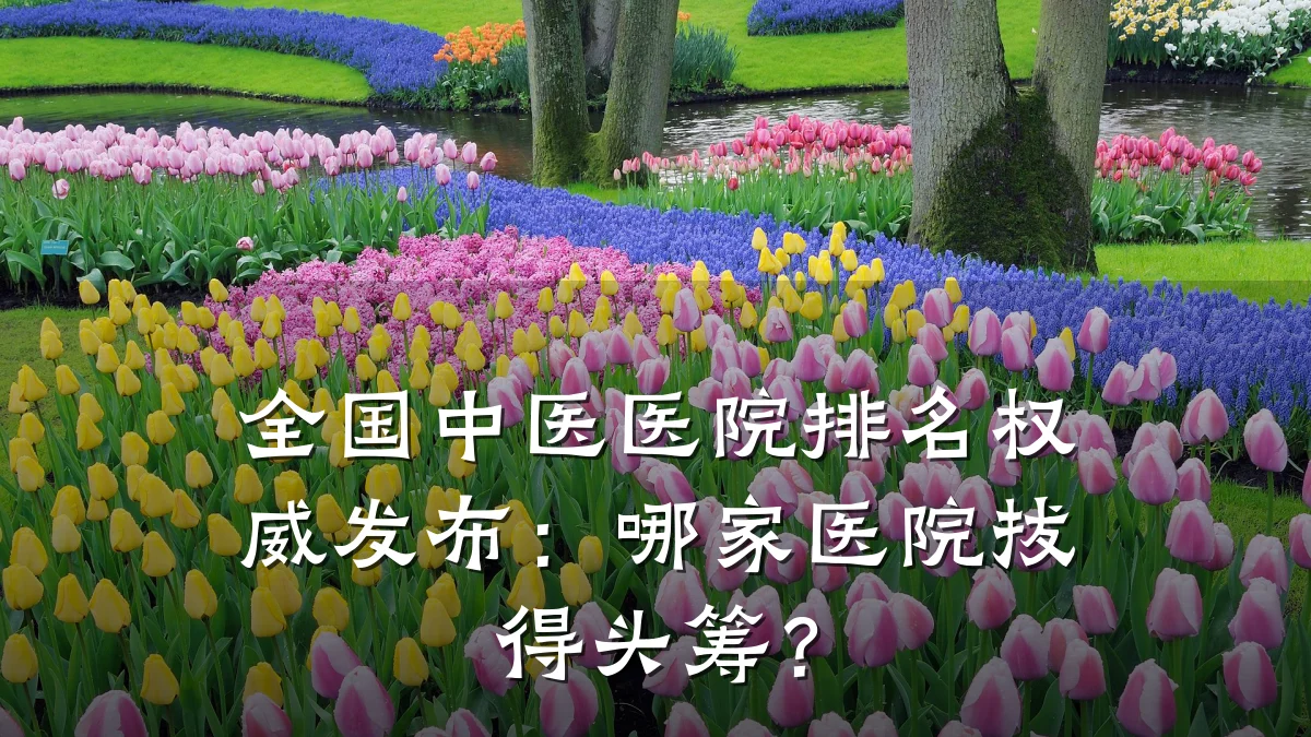 全国中医医院排名权威发布:哪家医院拔得头筹?