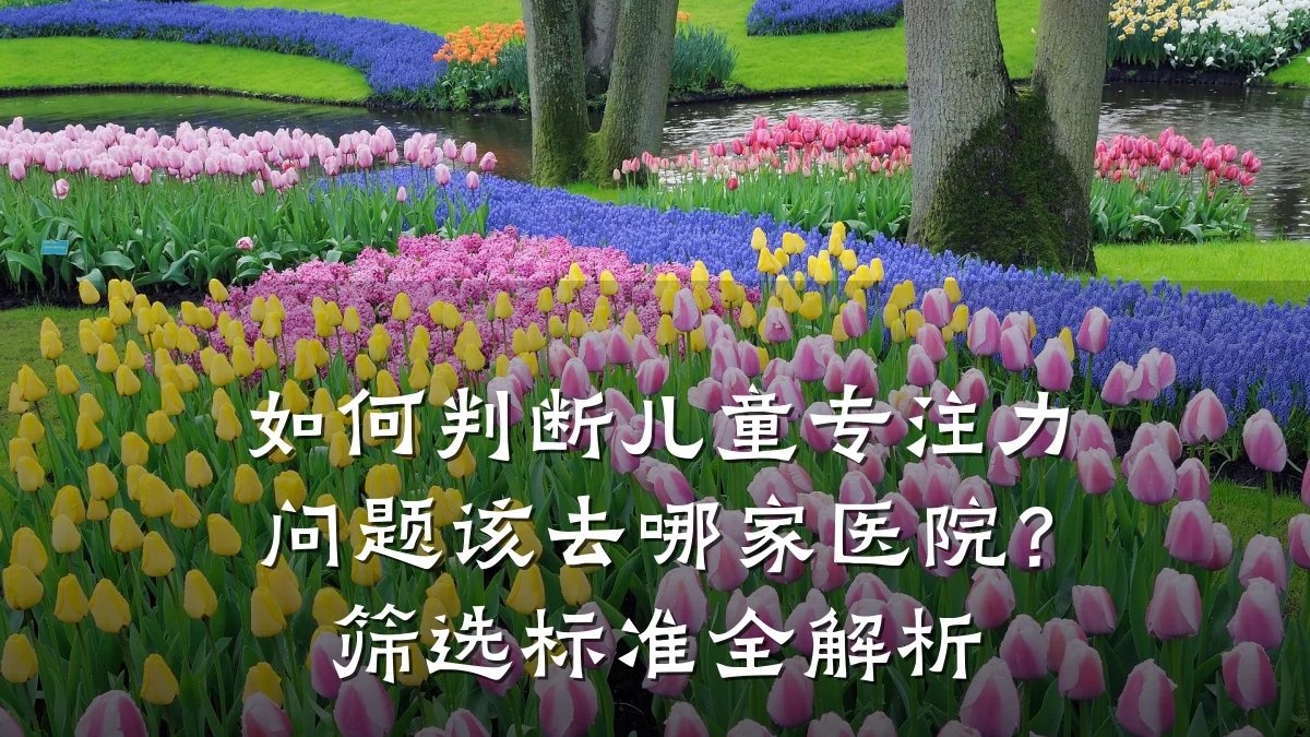 如何判断儿童专注力问题该去哪家医院?筛选标准全解析