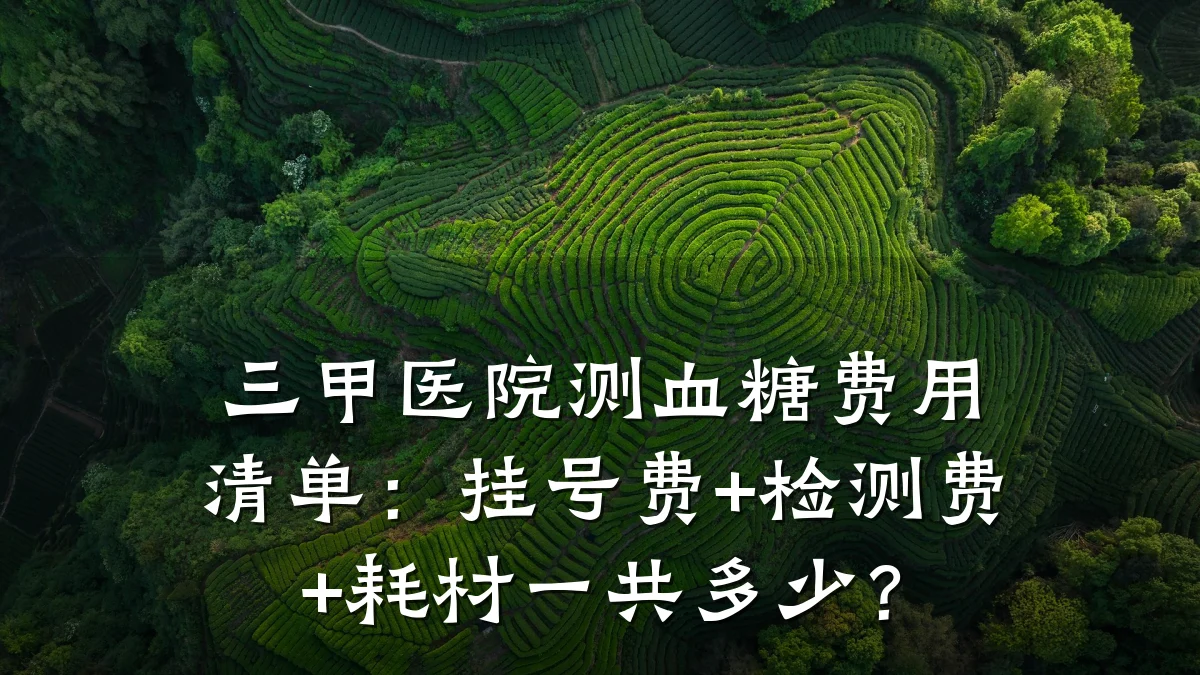 三甲医院测血糖费用清单:挂号费+检测费+耗材一共多少?