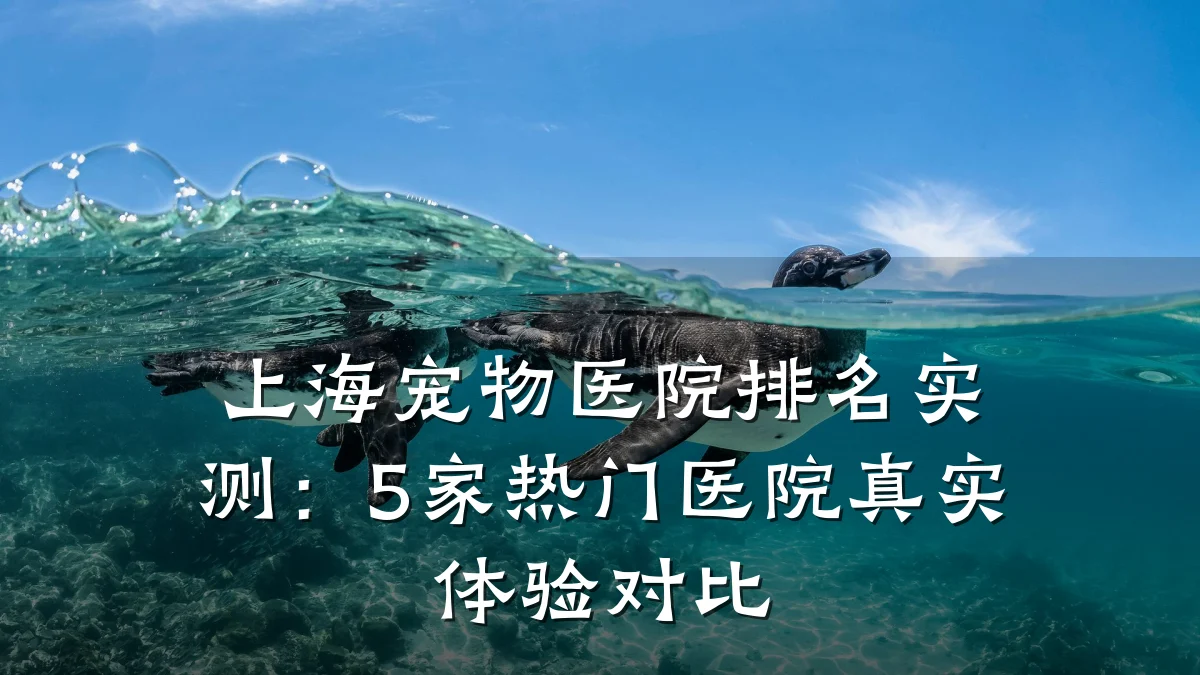 上海宠物医院排名实测:5家热门医院真实体验对比