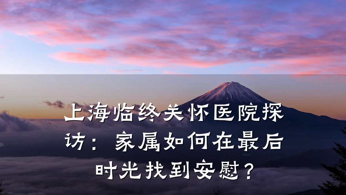 上海临终关怀医院探访:家属如何在最后时光找到安慰?