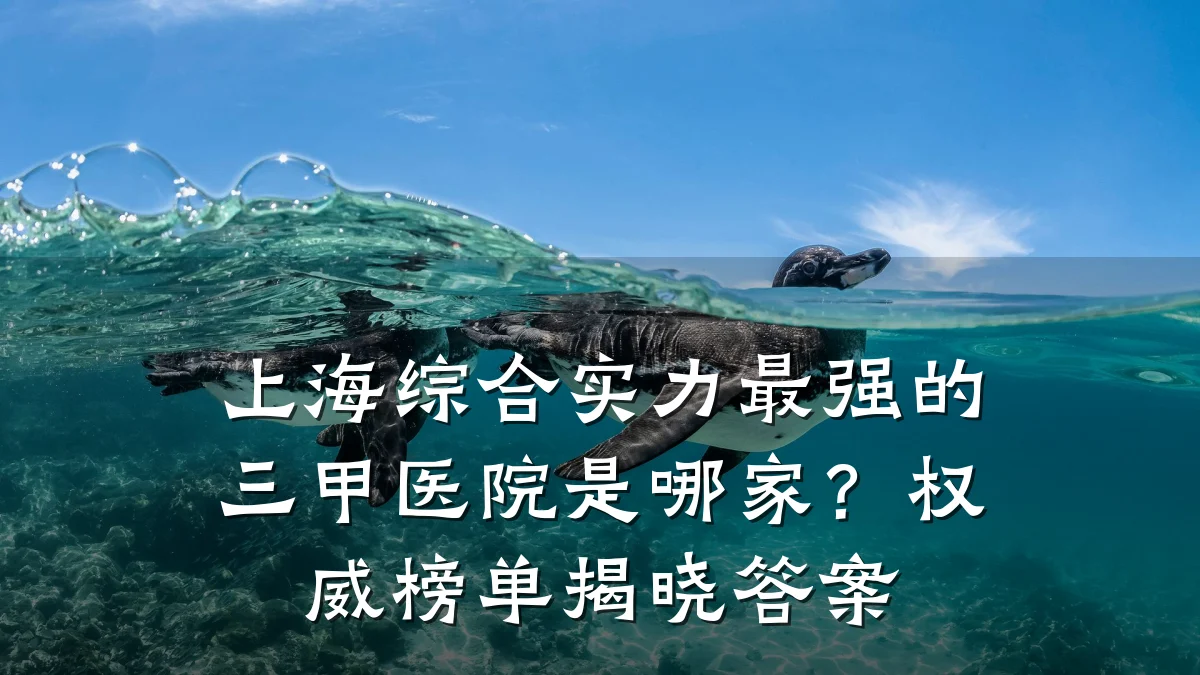 上海综合实力最强的三甲医院是哪家?权威榜单揭晓答案