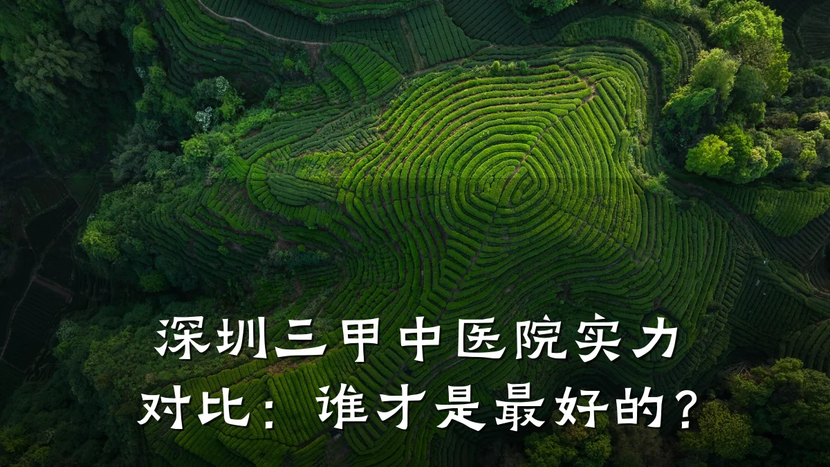 深圳三甲中医院实力对比:谁才是最好的?
