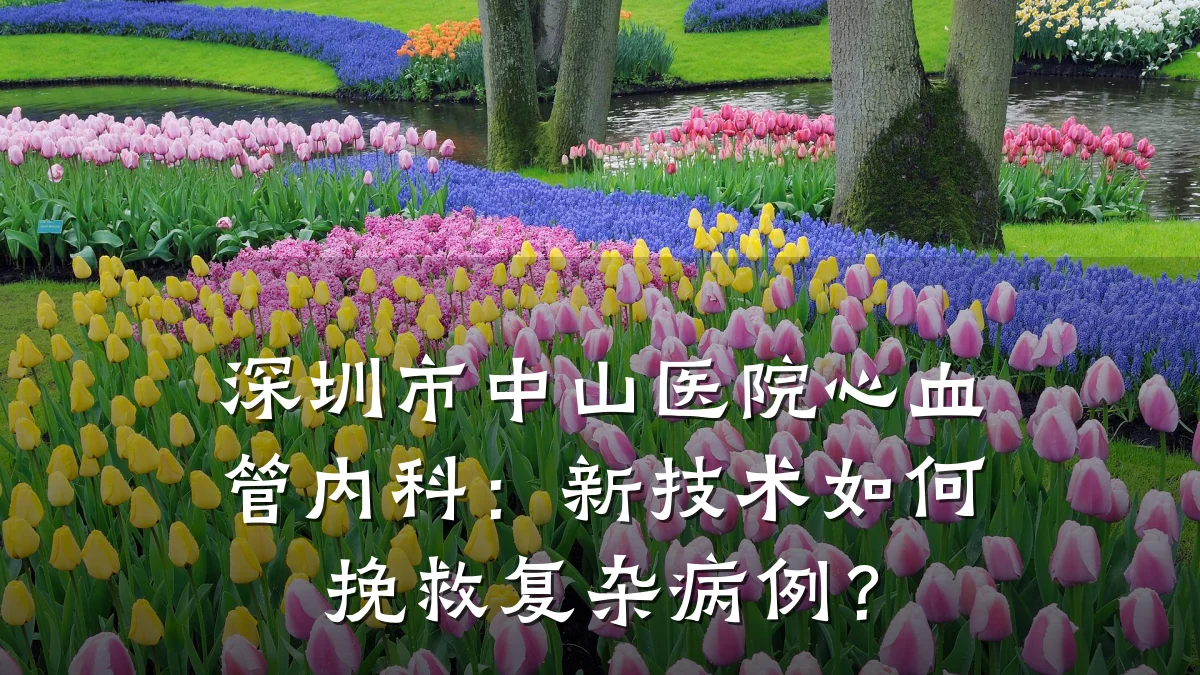 深圳市中山医院心血管内科:新技术如何挽救复杂病例?