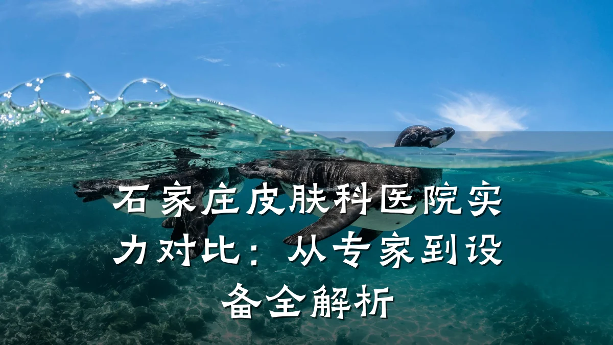 石家庄皮肤科医院实力对比:从专家到设备全解析