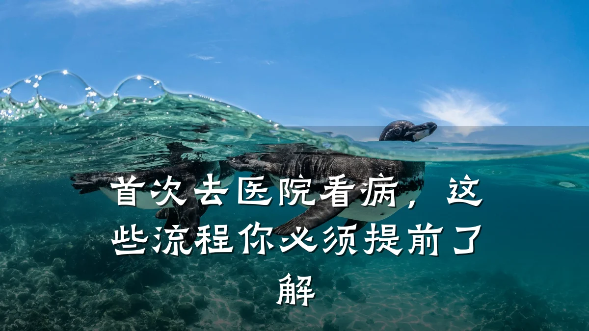 首次去医院看病,这些流程你必须提前了解