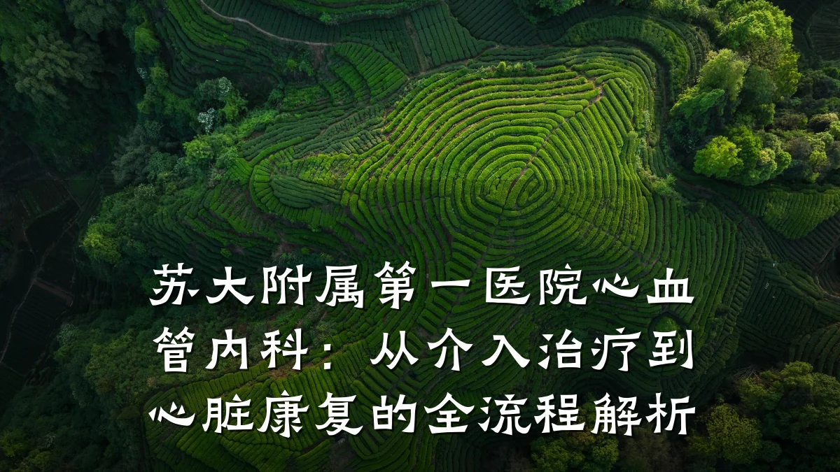 苏大附属第一医院心血管内科:从介入治疗到心脏康复的全流程解析