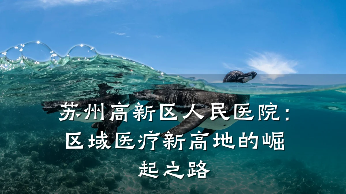 苏州高新区人民医院:区域医疗新高地的崛起之路