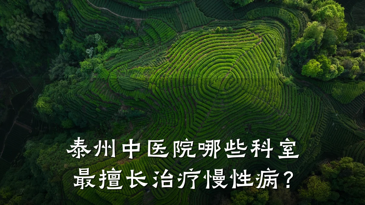 泰州中医院哪些科室最擅长治疗慢性病?
