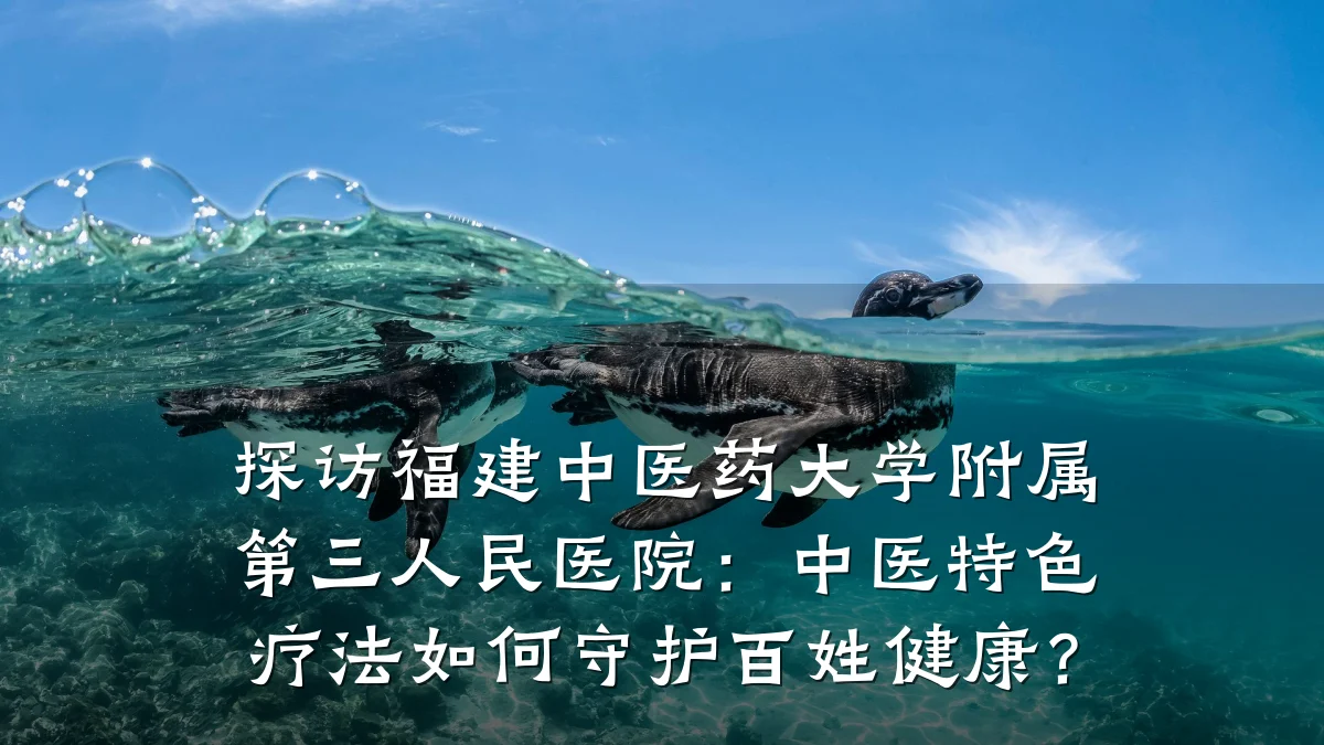 探访福建中医药大学附属第三人民医院：中医特色疗法如何守护百姓健康？