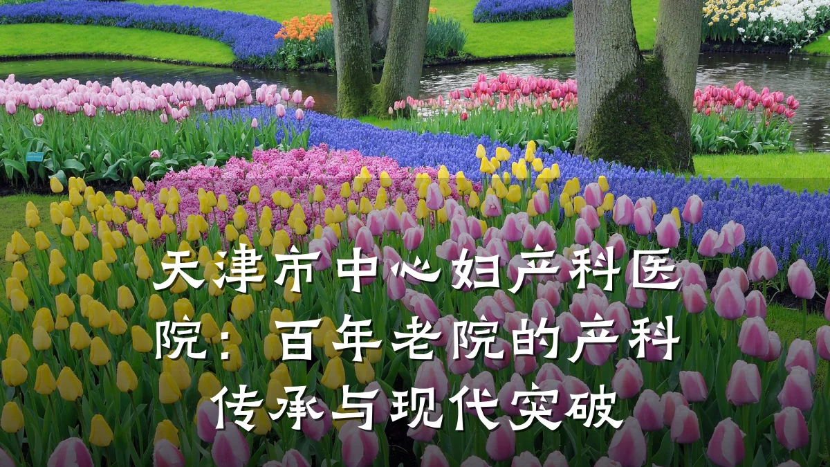 天津市中心妇产科医院:百年老院的产科传承与现代突破