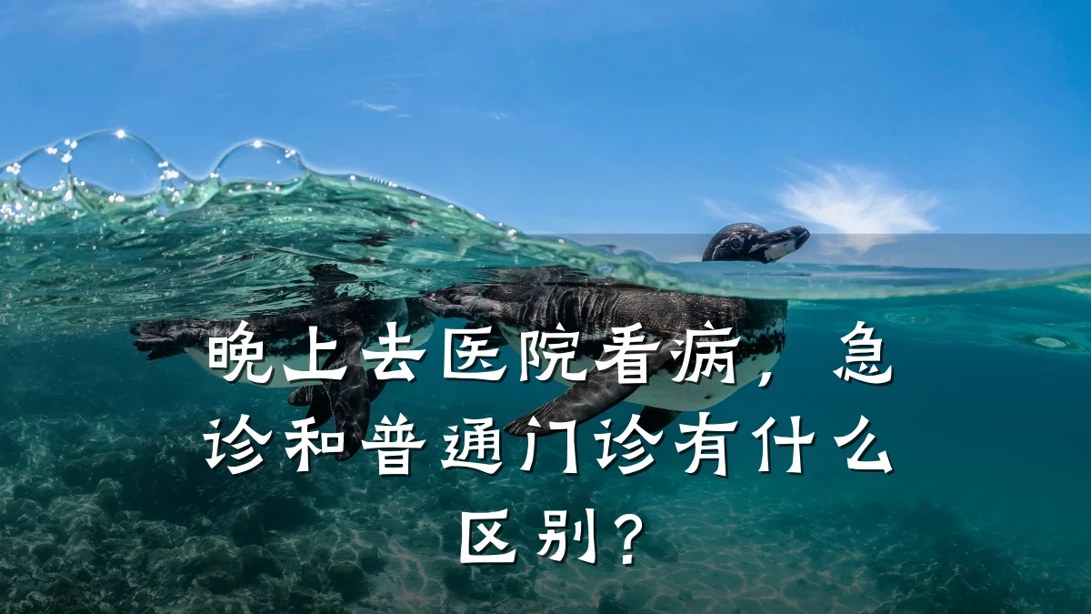 晚上去医院看病,急诊和普通门诊有什么区别?