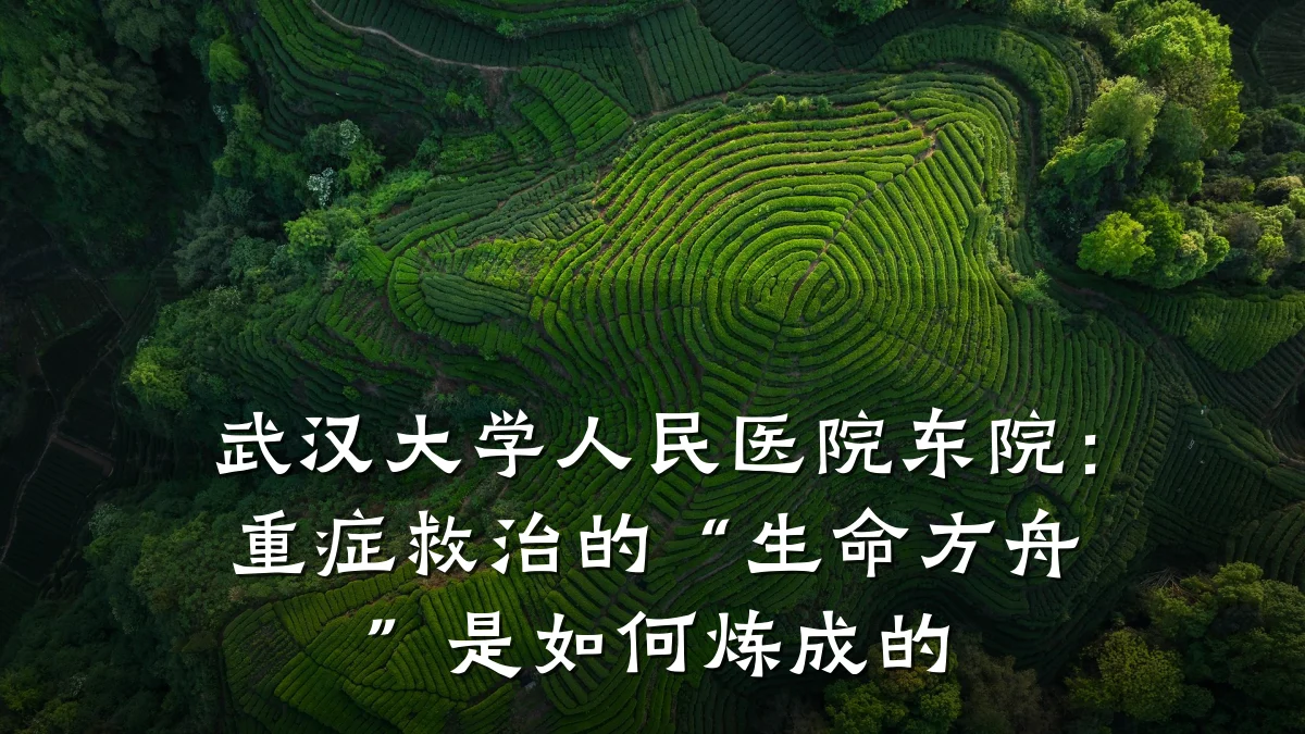 武汉大学人民医院东院:重症救治的“生命方舟”是如何炼成的