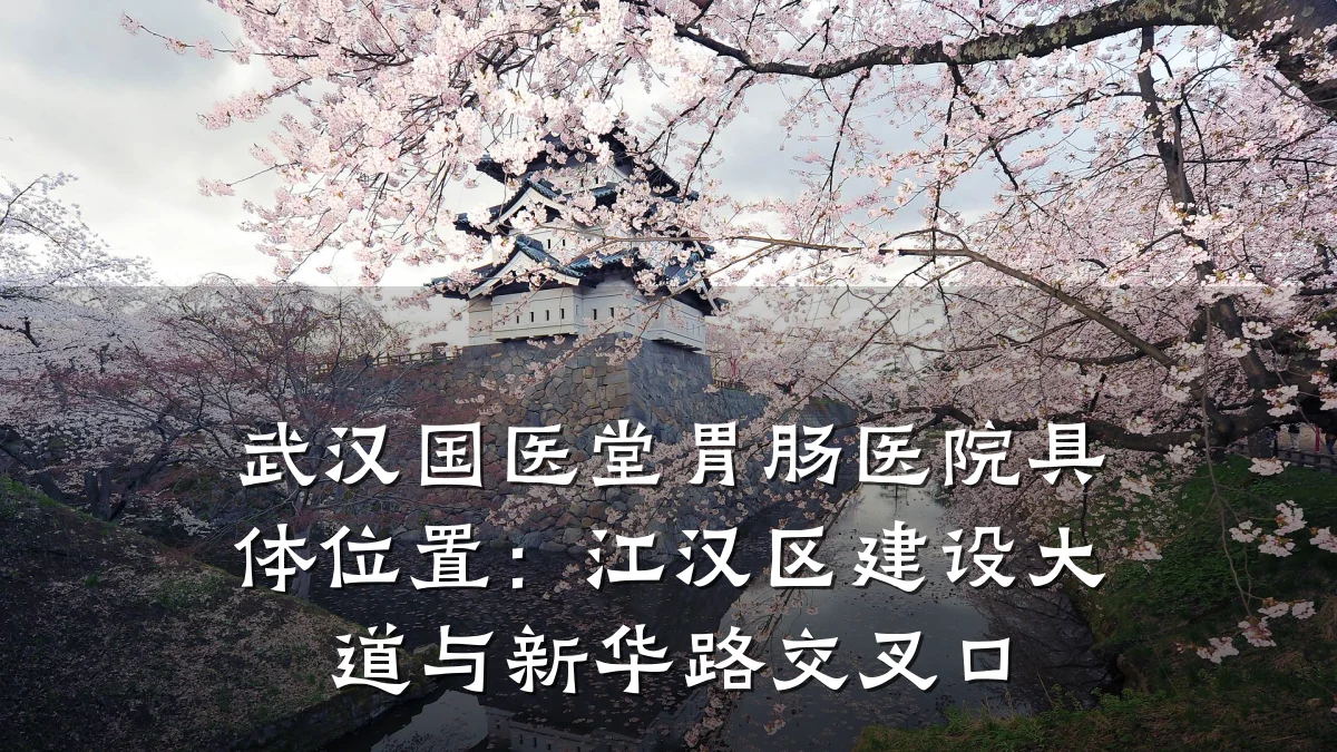 武汉国医堂胃肠医院具体位置:江汉区建设大道与新华路交叉口