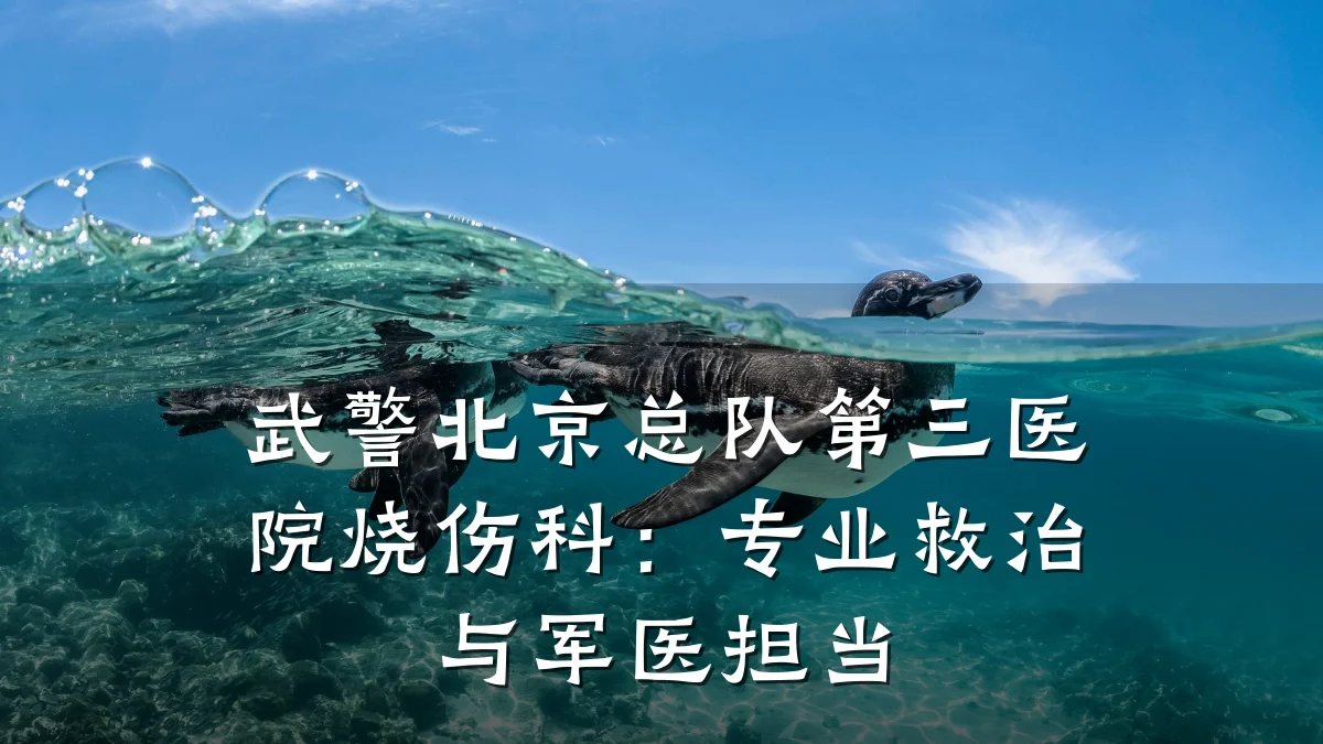 武警北京总队第三医院烧伤科:专业救治与军医担当