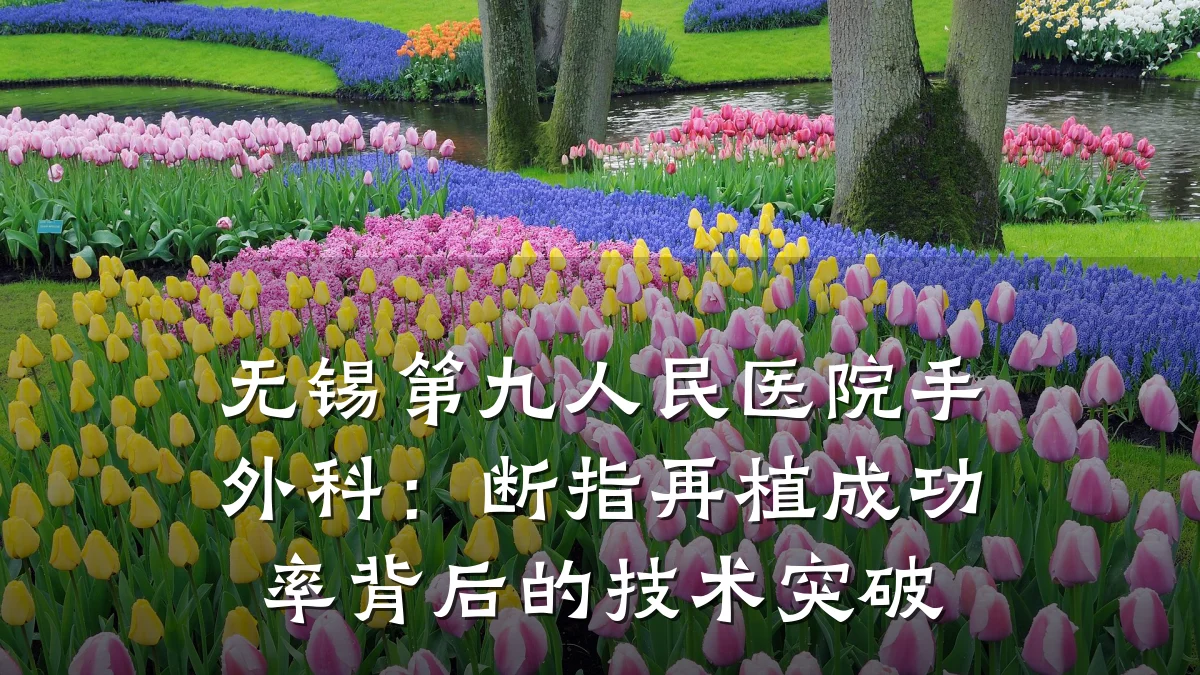 无锡第九人民医院手外科:断指再植成功率背后的技术突破