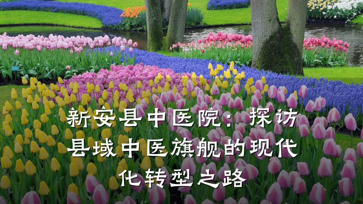 新安县中医院:探访县域中医旗舰的现代化转型之路