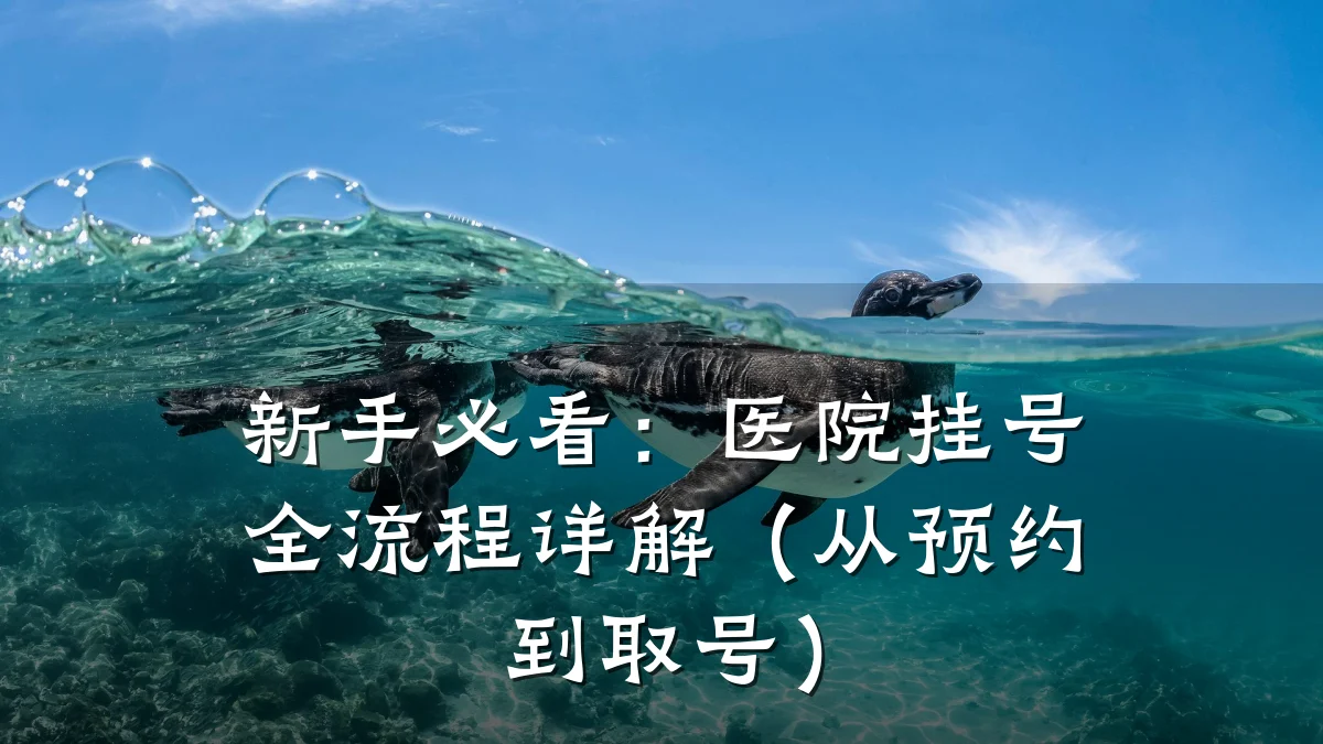 新手必看:医院挂号全流程详解(从预约到取号)