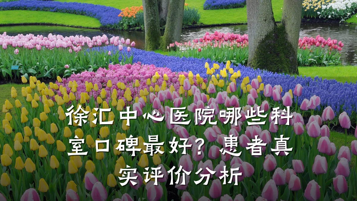 徐汇中心医院哪些科室口碑最好？患者真实评价分析