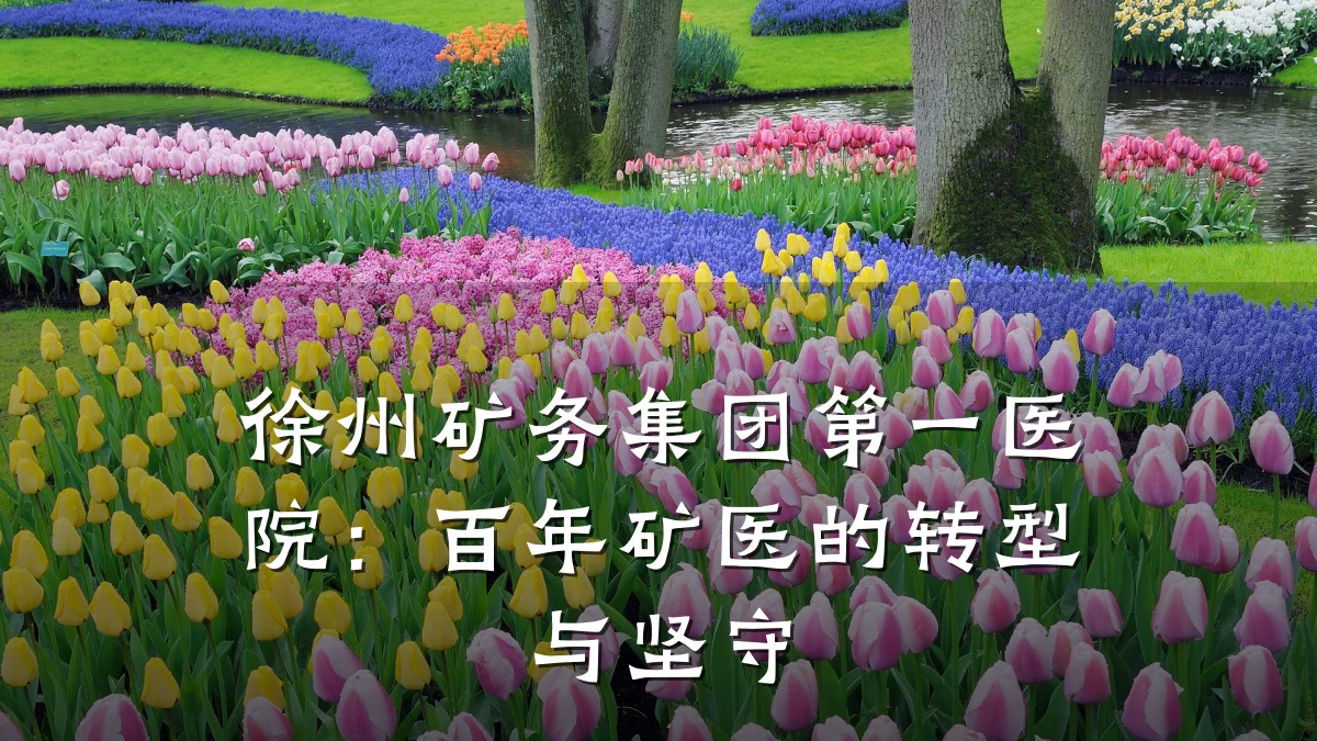 徐州矿务集团第一医院:百年矿医的转型与坚守