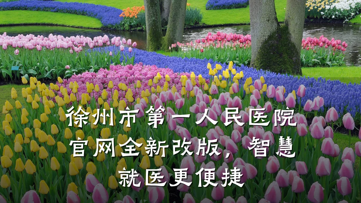 徐州市第一人民医院官网全新改版,智慧就医更便捷