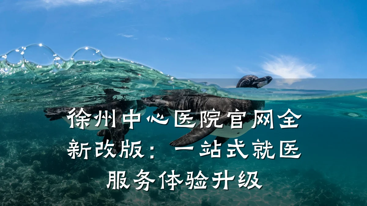 徐州中心医院官网全新改版:一站式就医服务体验升级
