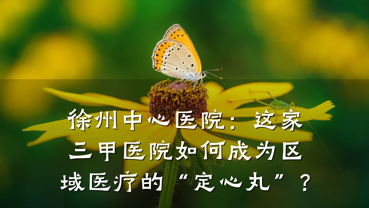 徐州中心医院：这家三甲医院如何成为区域医疗的“定心丸”？