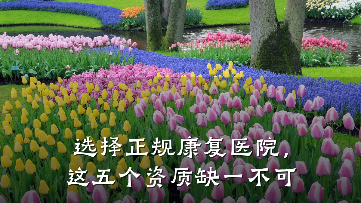 选择正规康复医院,这五个资质缺一不可