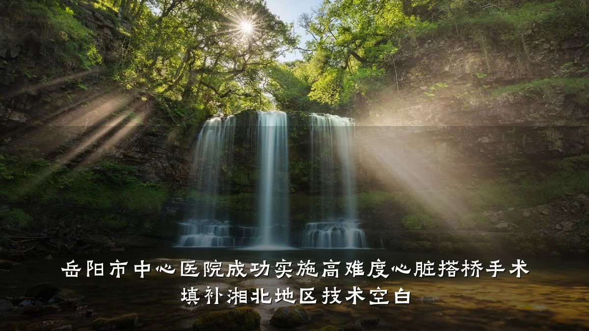 岳阳市中心医院成功实施高难度心脏搭桥手术 填补湘北地区技术空白