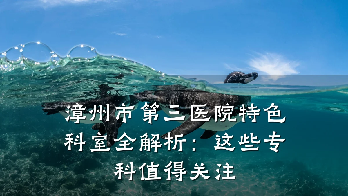 漳州市第三医院特色科室全解析:这些专科值得关注