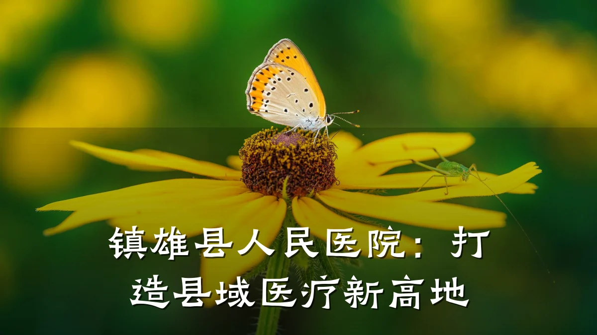 镇雄县人民医院:打造县域医疗新高地