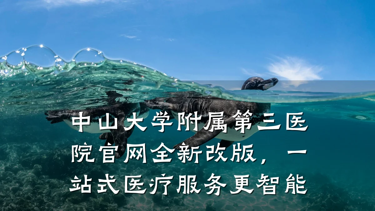 中山大学附属第三医院官网全新改版，一站式医疗服务更智能