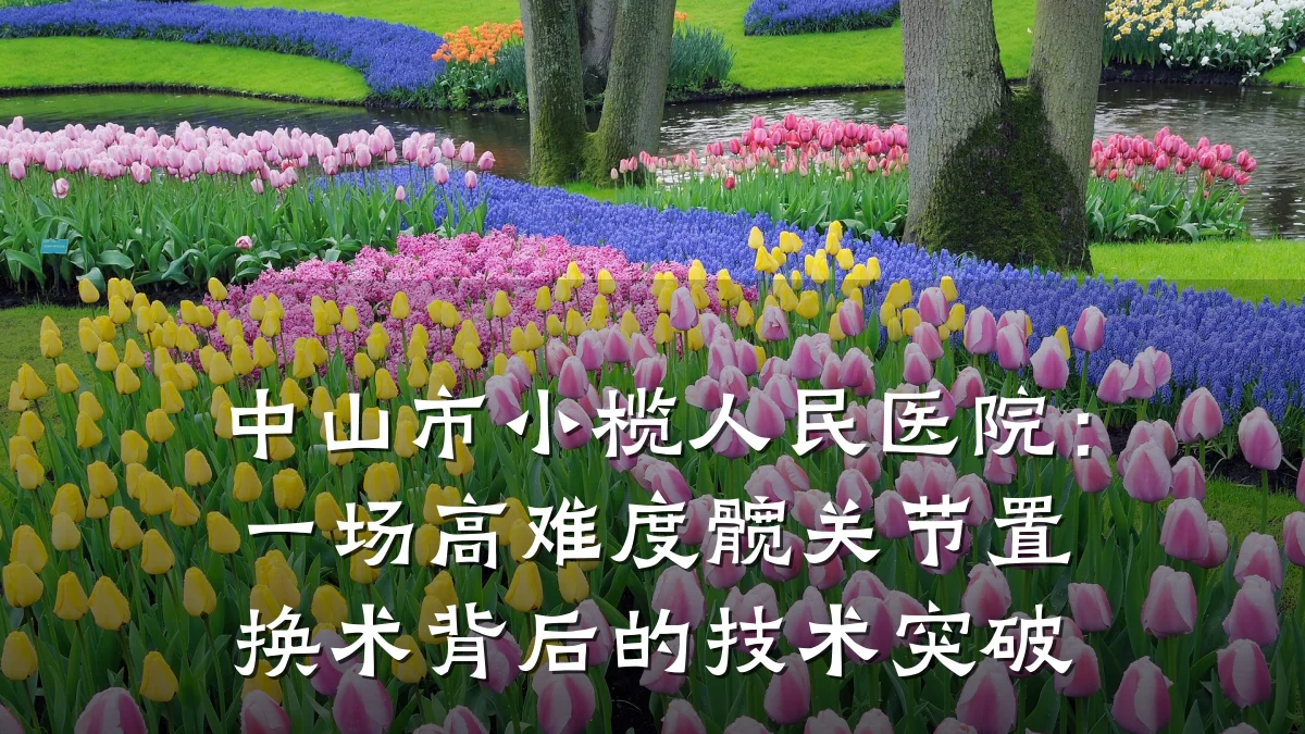 中山市小榄人民医院:一场高难度髋关节置换术背后的技术突破