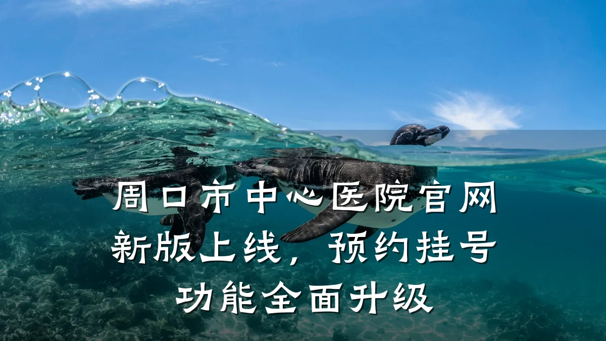周口市中心医院官网新版上线,预约挂号功能全面升级