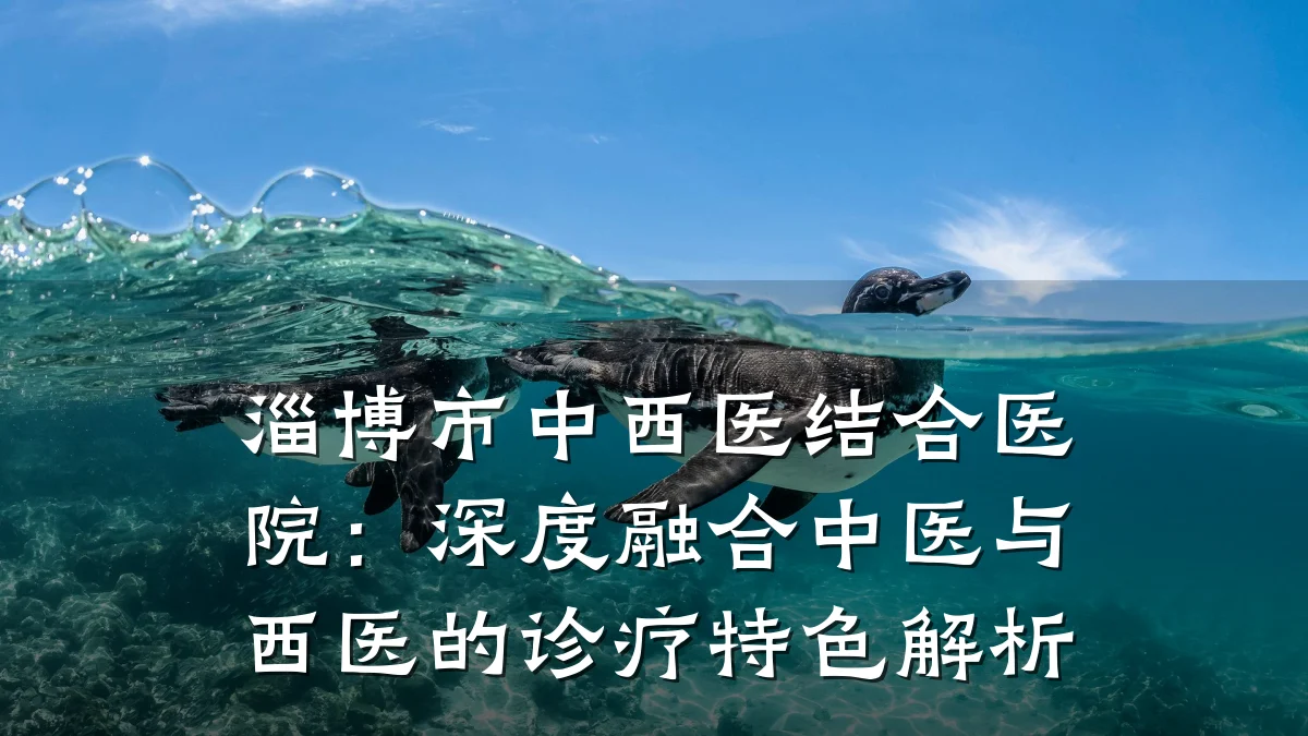 淄博市中西医结合医院：深度融合中医与西医的诊疗特色解析