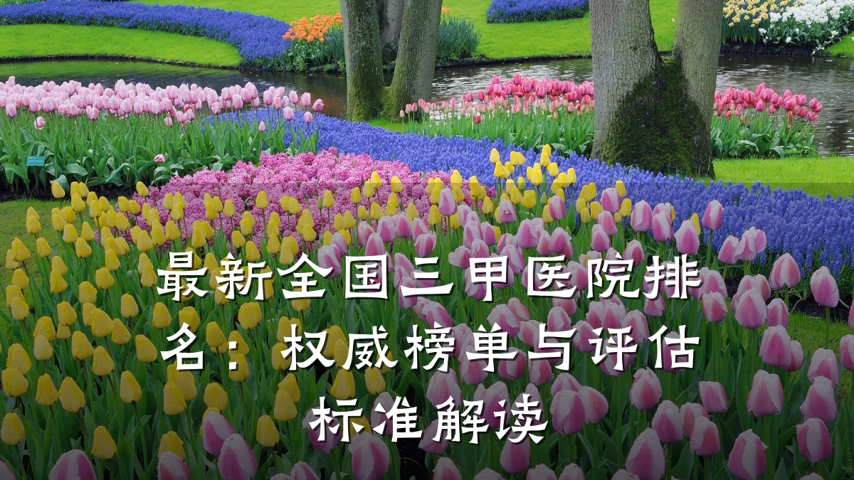 最新全国三甲医院排名:权威榜单与评估标准解读