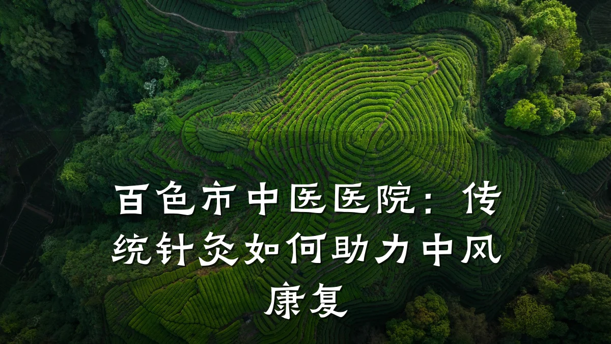 百色市中医医院:传统针灸如何助力中风康复