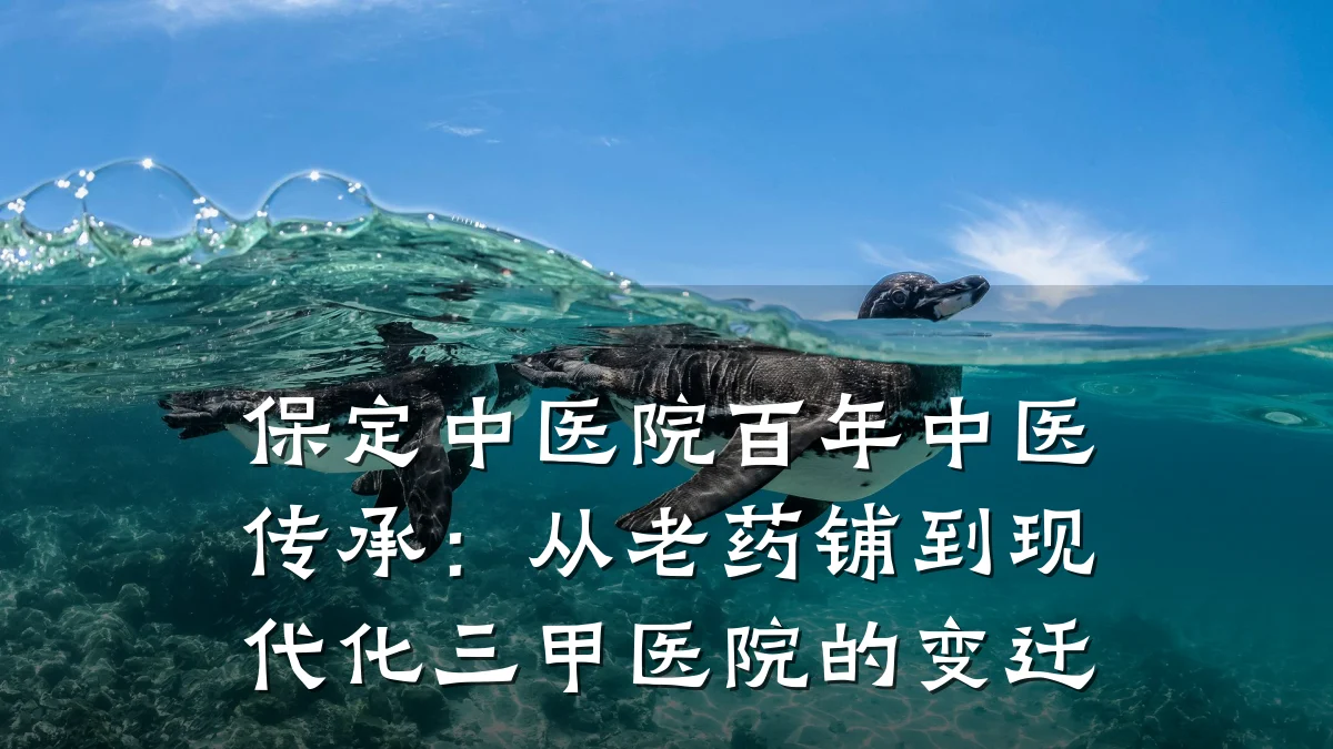 保定中医院百年中医传承：从老药铺到现代化三甲医院的变迁