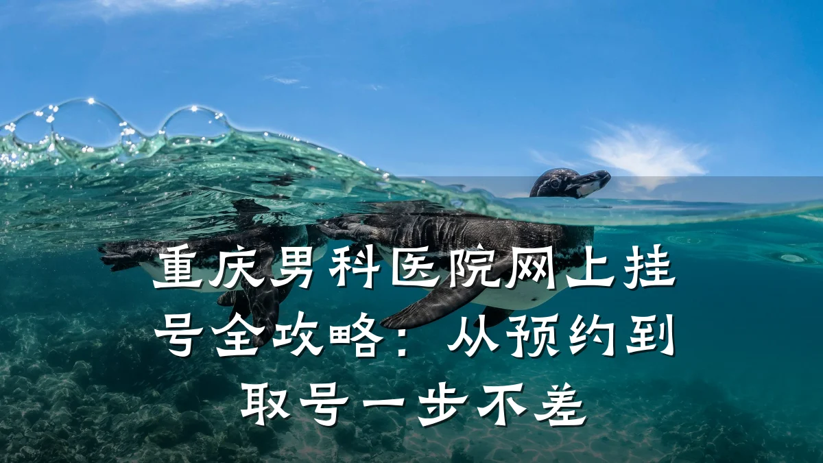 重庆男科医院网上挂号全攻略：从预约到取号一步不差
