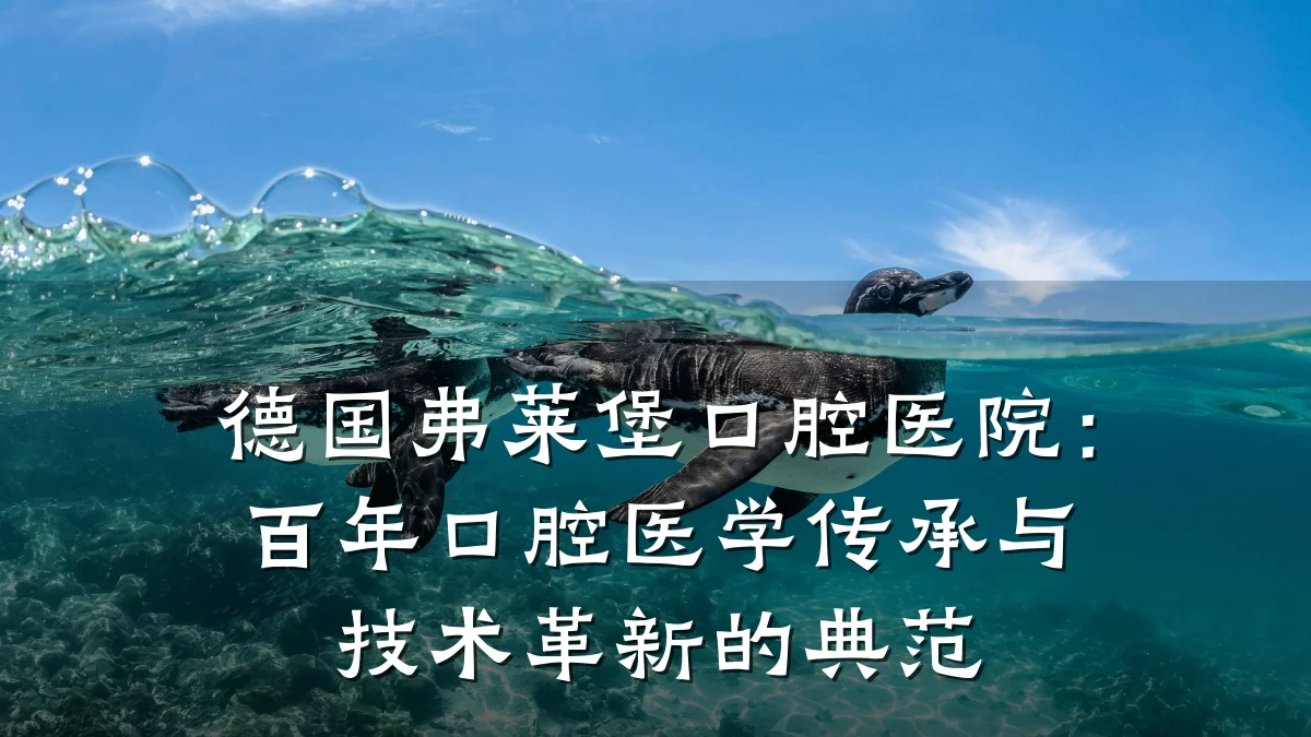 德国弗莱堡口腔医院:百年口腔医学传承与技术革新的典范