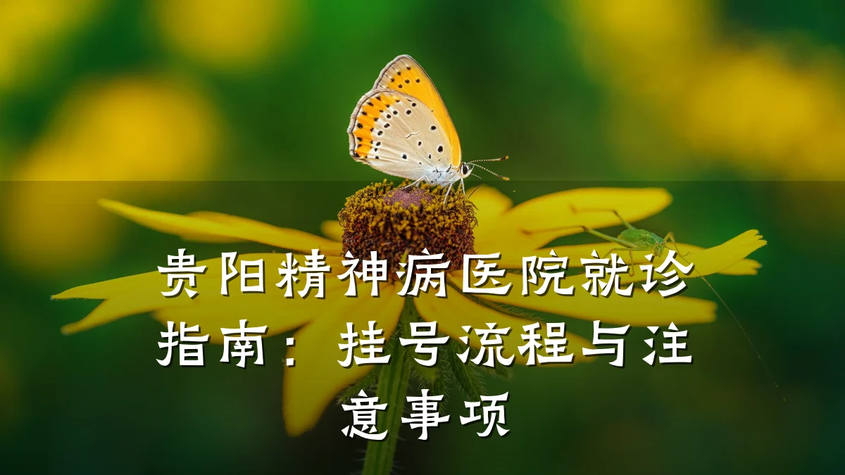 贵阳精神病医院就诊指南：挂号流程与注意事项