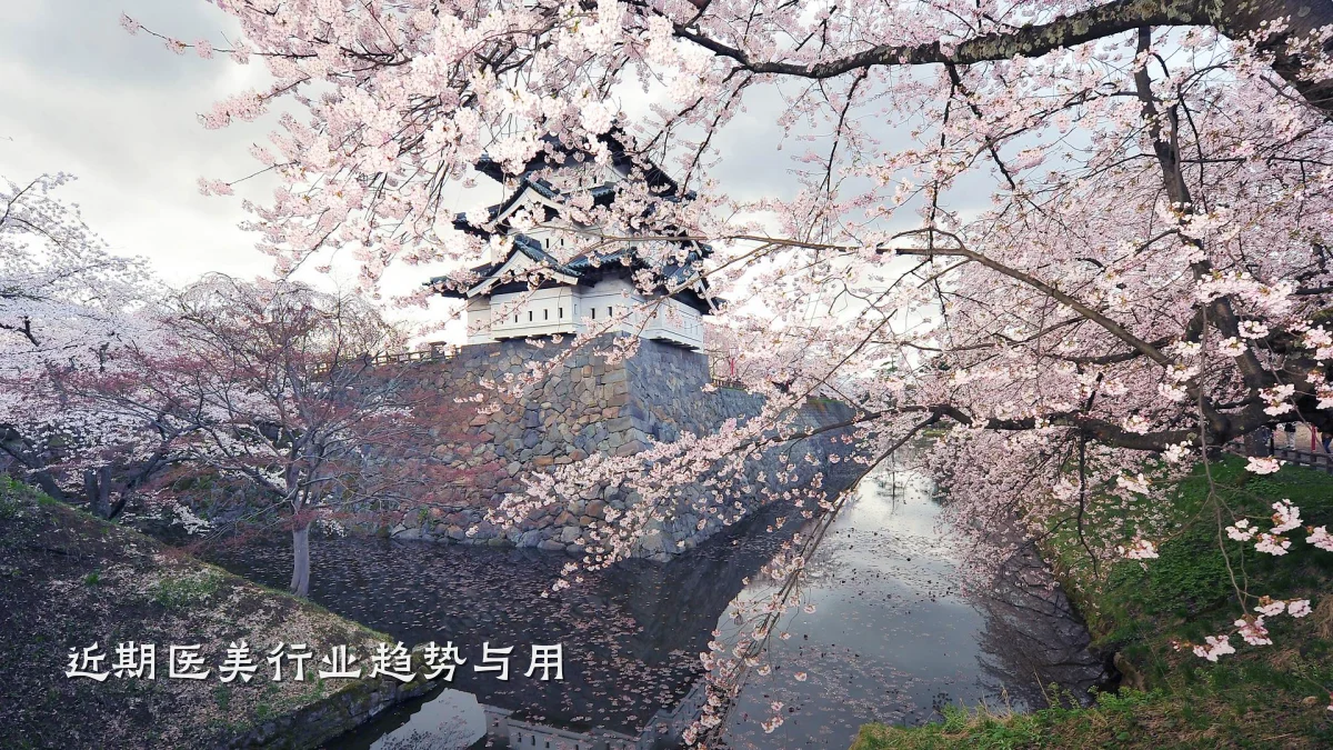 近期医美行业趋势与用
